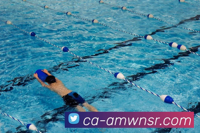 威尼斯人官网平台生态图